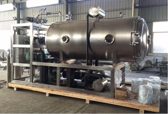 Vacuum Food Freeze Dryer suppliers